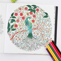 Nature's Garden Coloring Book